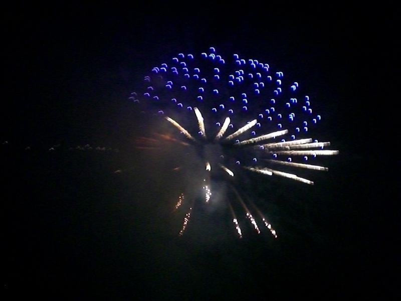 看起來應該是  捧花.jpg