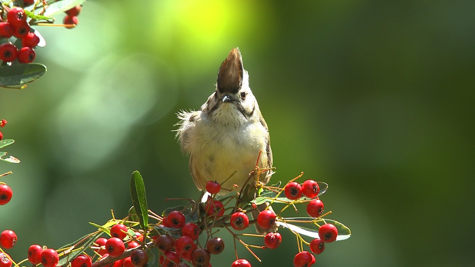 這是下米老師的參數截取圖片