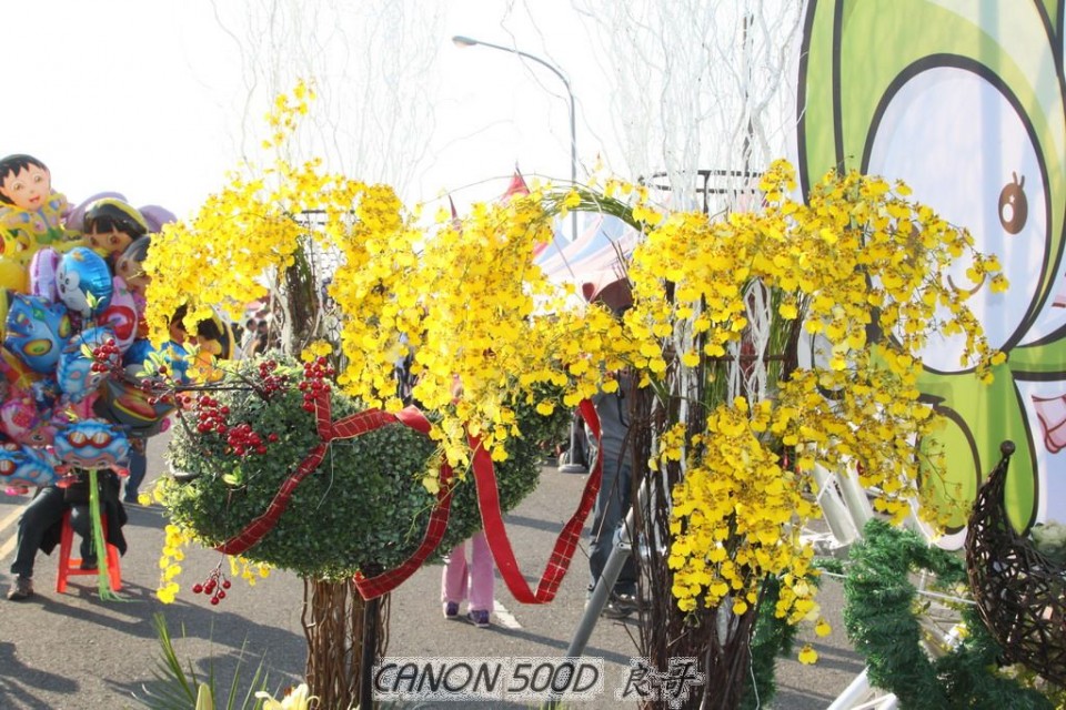嘉義市花現新嘉園_花海節_0004.JPG