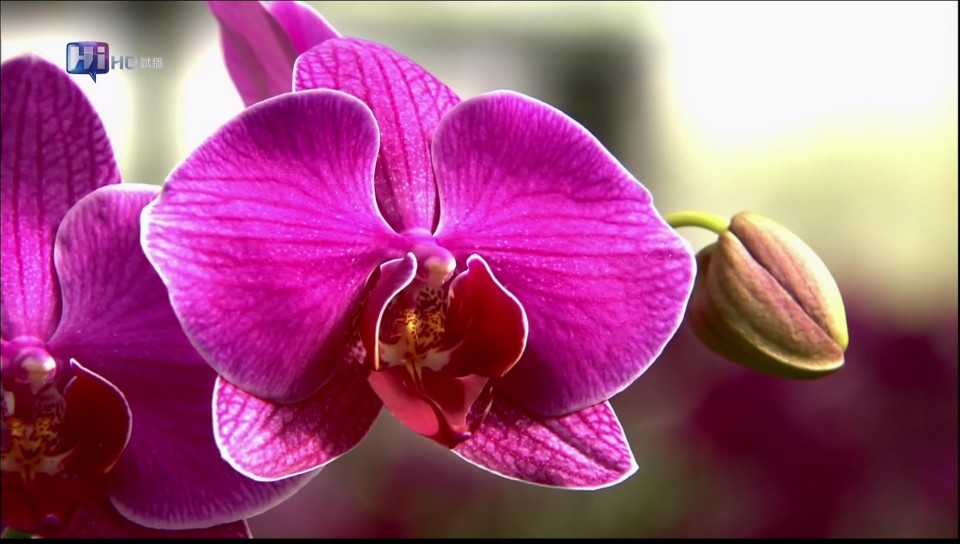 0215115320DVB-T公共電視 Hi_HD.jpg