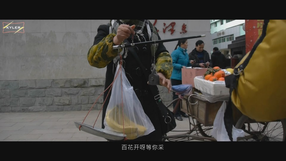 china steadicam-01.jpg