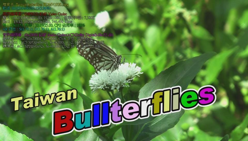 Taiwan butterflies HDMV1920[(000153)10-19-56].JPG