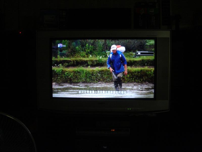 月初錄製的福爾摩沙指環