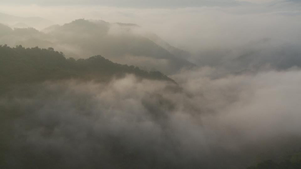 Still0913_00010 copy.jpg