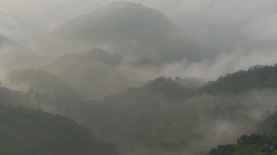 Still0913_00012 copy.jpg