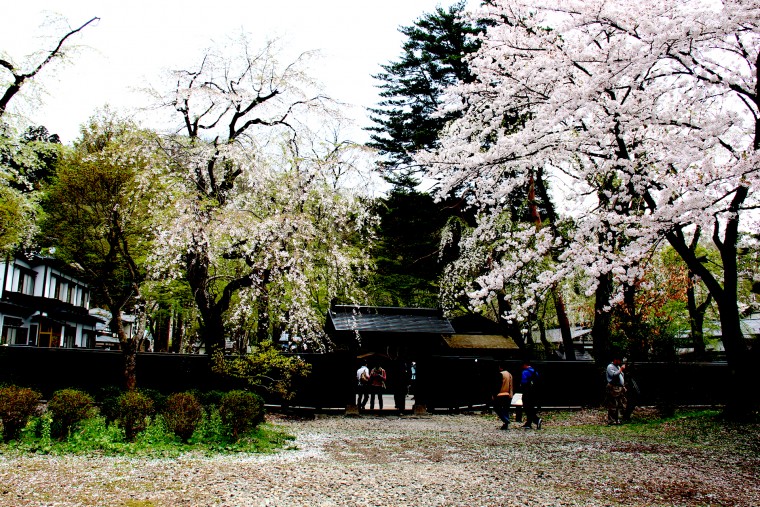 角館武家屋敷(2)