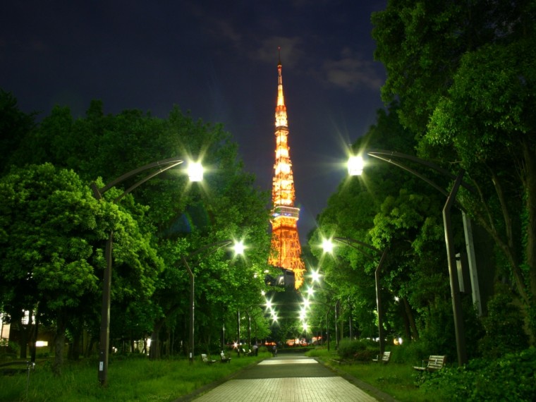東京タワー  夜景.jpg