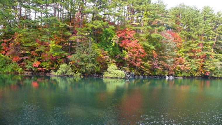 磐梯高原五色沼