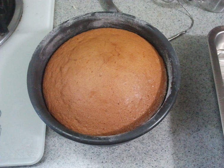 2013-02-10 08.32.41.jpg