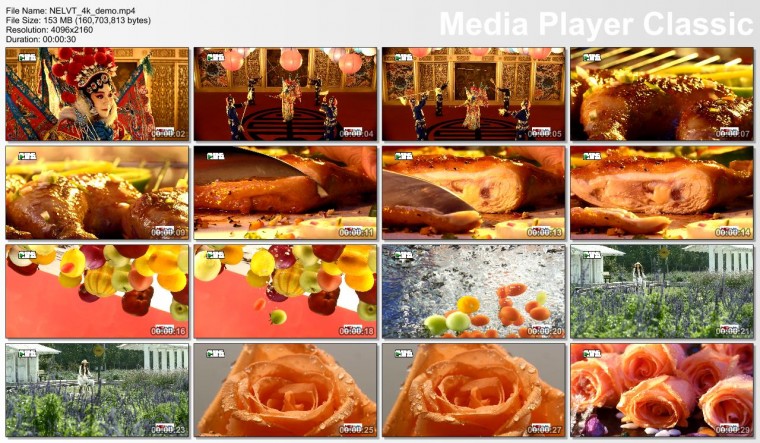 NELVT_4k_demo.mp4_thumbs_[2013.01.07_11.21.31].jpg