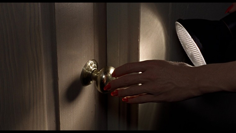 鳥(希區考克) (8).jpg