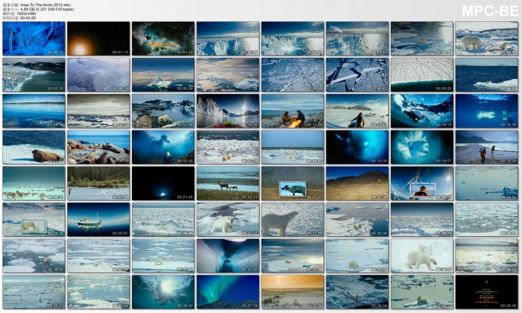 Imax.To.The.Arctic.2012.mkv_thumbs_[2013.07.23_09.26.36].jpg