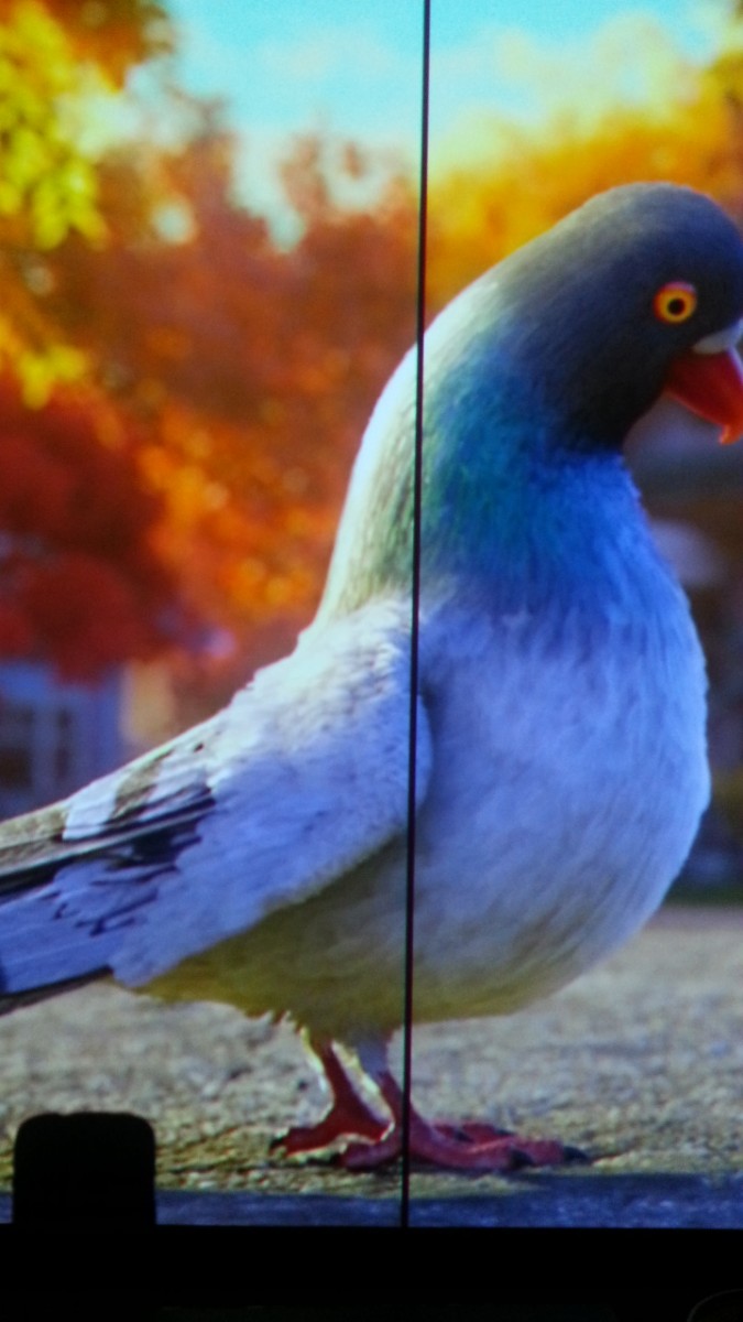 2013-12-05 19.50.04.jpg