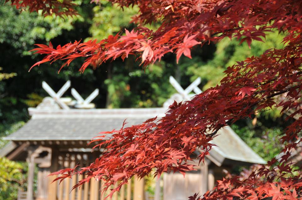 DSC_4839_調整大小 .JPG