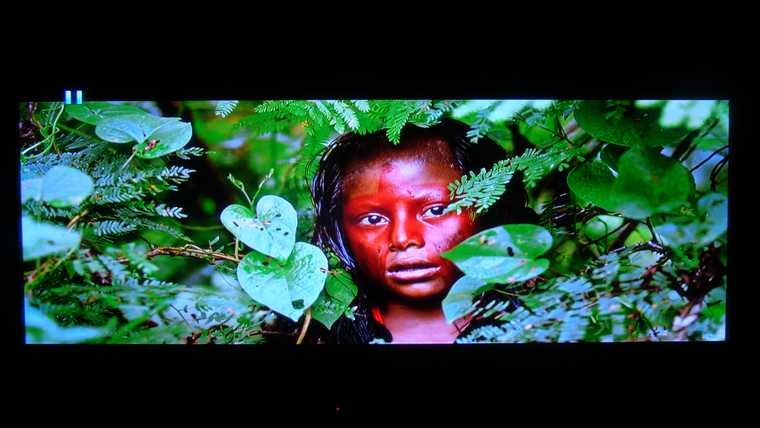 103D直播DARBEE 3.JPG