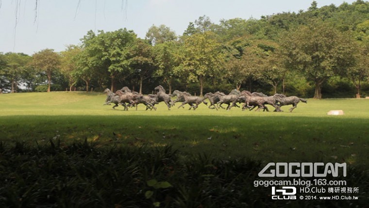 5D2.Still004 copy.jpg