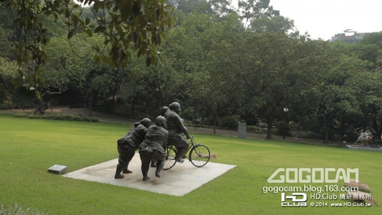 5D2.Still010 copy.jpg