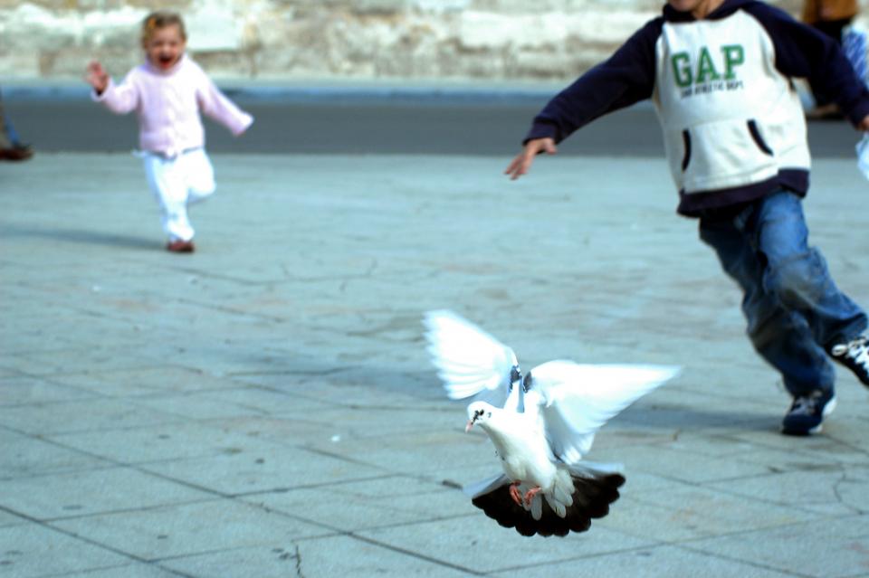 Arles-little_girl_chasing_dove.jpg