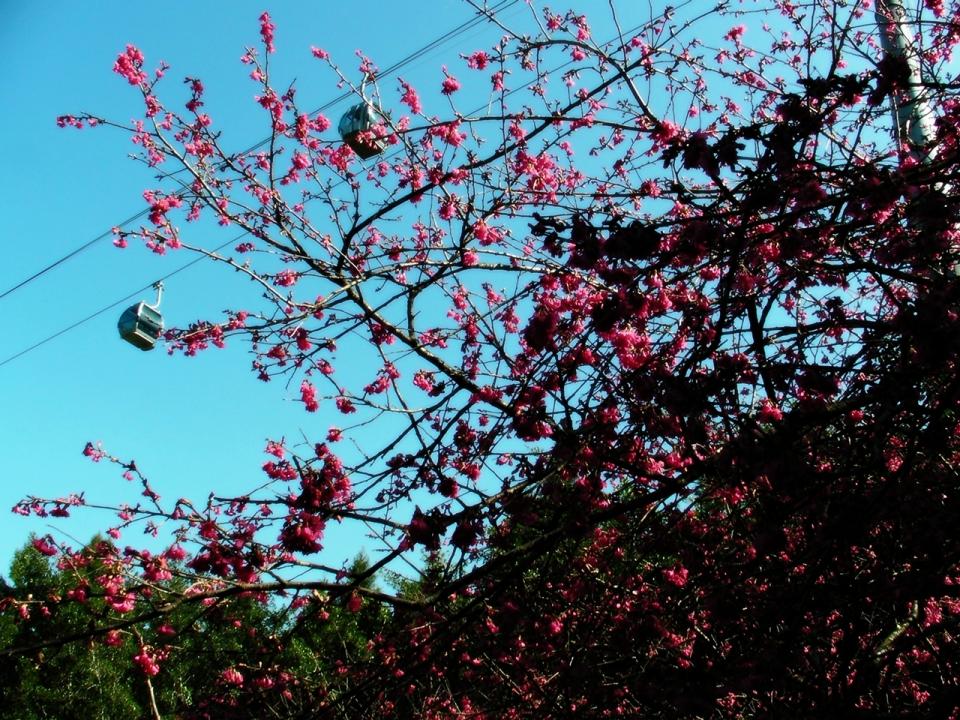 年初四 九族-1.jpg