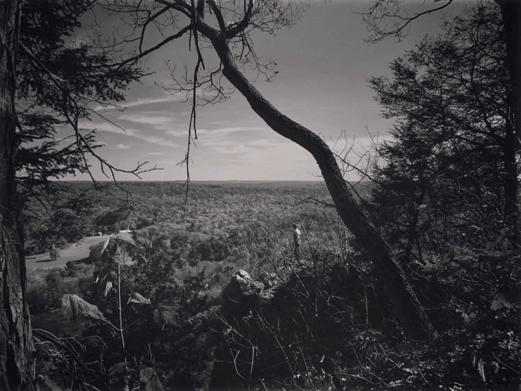 5.2018 索尼世界攝影大獎_青年賽 年度攝影師_Megan Johnson_美國.jpg