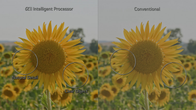 LG 4K DEMO HDR 2018 (60FPS) OLED ALPHA 9 PROCESSOR.webm_20180523_152159.873.jpg