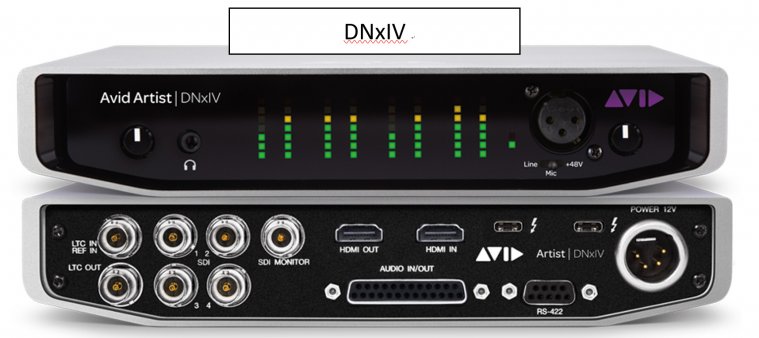 DNxIV