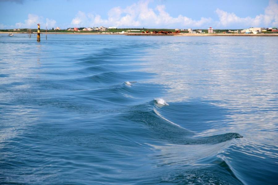 澎湖東海